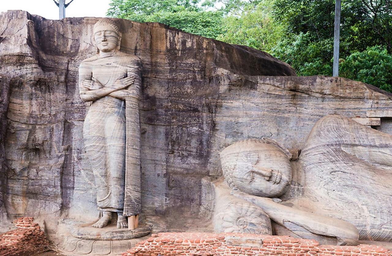 Lion Resort Polonnaruwa Exterior photo